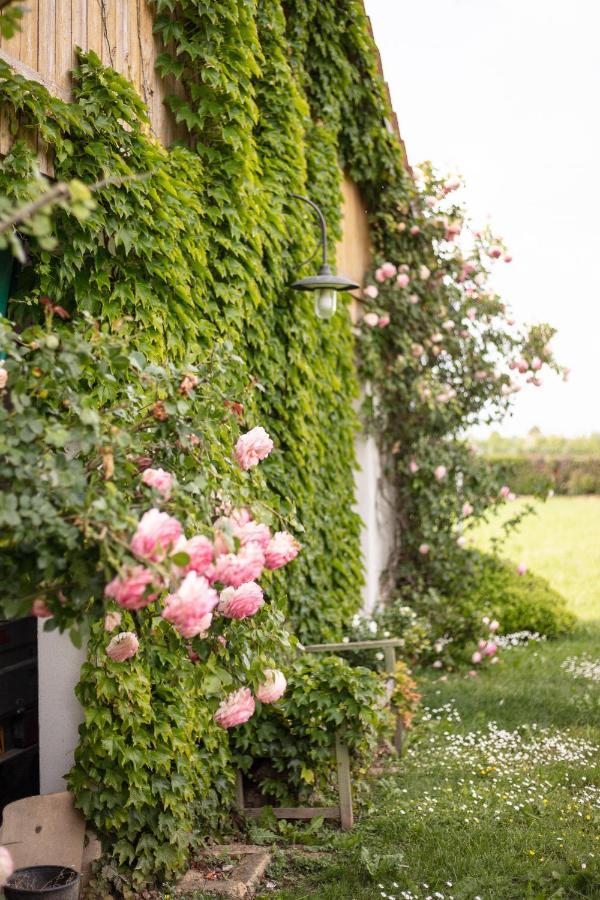 La Casa Vecchia B&B Camisano Vicentino Экстерьер фото