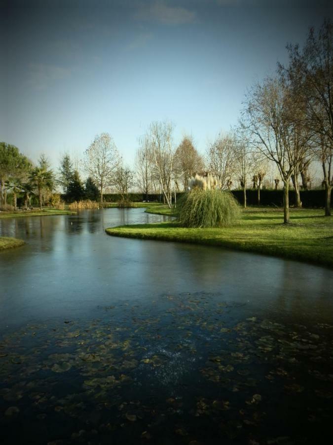 La Casa Vecchia B&B Camisano Vicentino Экстерьер фото